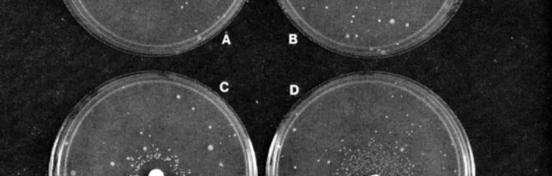 The Ames Test